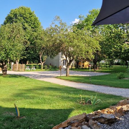 Gite L'Enclos O Rendez-Vous Roquefeuil-Pays De Sault- Avec Jardin Eksteriør billede