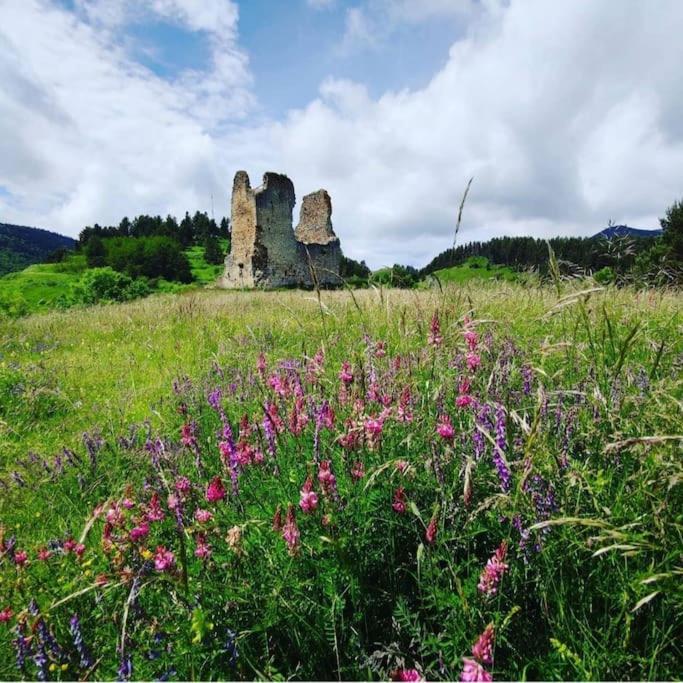 Gite L'Enclos O Rendez-Vous Roquefeuil-Pays De Sault- Avec Jardin Eksteriør billede