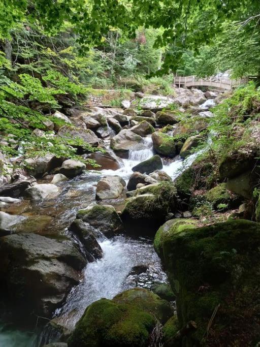 Gite L'Enclos O Rendez-Vous Roquefeuil-Pays De Sault- Avec Jardin Eksteriør billede