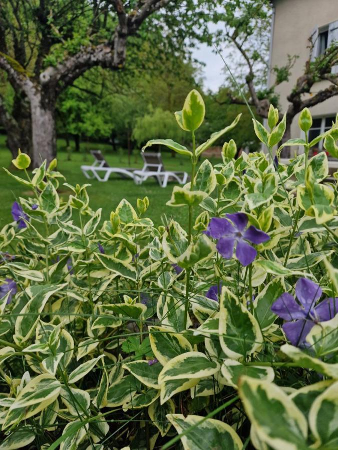 Gite L'Enclos O Rendez-Vous Roquefeuil-Pays De Sault- Avec Jardin Eksteriør billede
